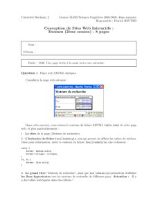 Conception de Sites Web Interactifs : Examen (2`eme