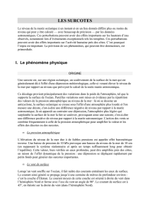 LES SURCOTES | document pdf