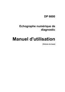 h-2300-20-29392_dp6600_basic ( PDF