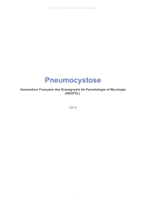 Pneumocystose