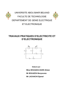 TRAVAUX PRATIQUES D`ELECTRICITE ET D`ELECTRONIQUE