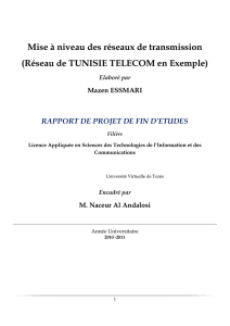 Mise à niveau des réseaux de transmission (Réseau de TUNISIE