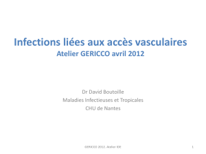 Infections liées aux accès vasculaires Atelier GERICCO avril 2012