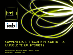 COMMENT LES INTERNAUTES PERCOIVENT