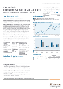 Emerging Markets Small Cap Fund
