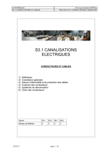 S3.1 CANALISATIONS ELECTRIQUES