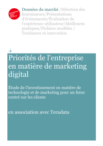 905 – Priorités de l`entreprise en matière de marketing digital