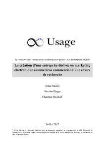 La création d`une entreprise dérivée en marketing électronique