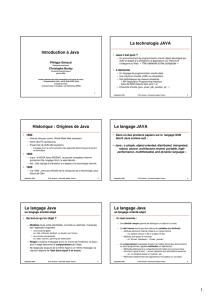 Origines de Java Le langage JAVA Le langage Java Le langage Java