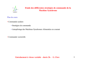 Etude des différentes stratégies de commande de la Machine