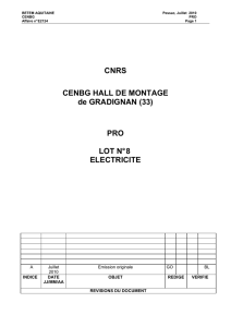 Cnrs cenbg hall de montage de gradignan (33) pro lot n 8 electricite