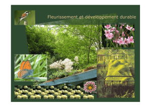 Fleurissement et développement durable