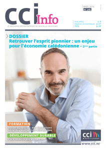 Dossier retrouver l`esprit pionnier : un enjeu pour l`économie