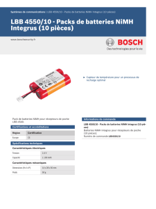 LBB 4550/10 - Packs de batteries NiMH Integrus (10 pièces)