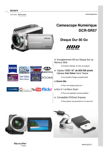 Camescope Numérique DCR-SR57