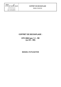COFFRET DE DECOUPLAGE : GTE 2666 type 1.3 – RE