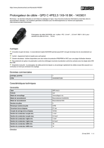 Prolongateur de câble - QPD C 4PE2,5 1X9-16 BK