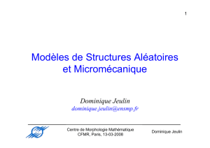Modèles de Structures Aléatoires et Micromécanique