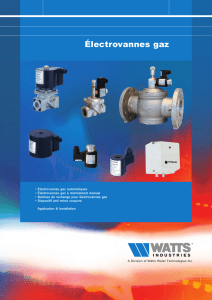 Électrovannes gaz - Watts Industries