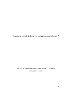 MÉMOIRE/ Comment réussir à déployer sa marque sur internet? 2015