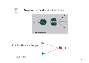 Noyaux, particules et interactions