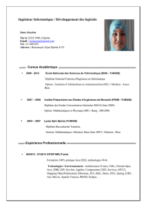 CV-Ingénieur Informatique-Sana