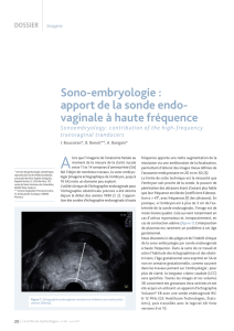 Sono-embryologie : apport de la sonde endo