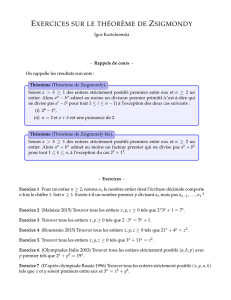 exercices sur le théorème de zsigmondy