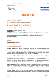 Hépatite B