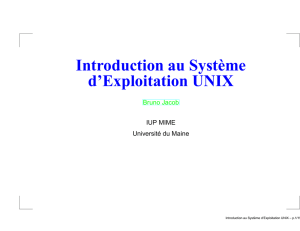 Introduction au Système d`Exploitation UNIX