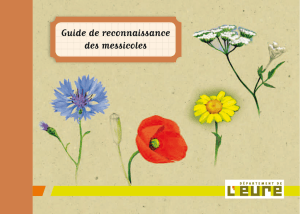 Guide de reconnaissance des messicoles