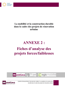 ANNEXE 2 : Fiches d`analyse des projets forces/faiblesses