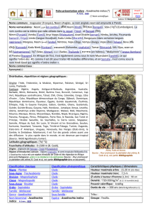 ( ) Fiche présentation arbre : Azadirachta indica