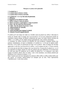 Marques et syntaxe de la pluralité 1. Le pluriel en 1. Le pluriel en