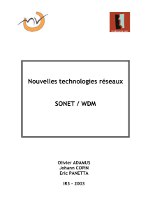 Nouvelles technologies réseaux SONET / WDM