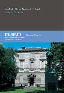 Guide du Musée National d`Irlande Histoire Naturelle