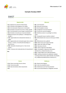 Exemple d`analyse SWOT