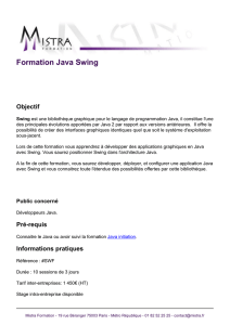 Formation Java Swing - Mistra