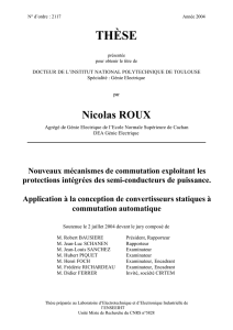 Nouveaux mécanismes de commutation exploitant les protections