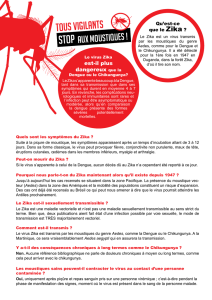 Questions sur Zika - Stop aux Moustiques