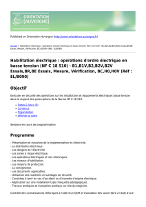 Habilitation électrique