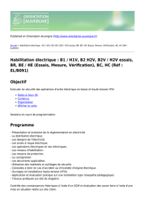 Habilitation électrique : B1 / H1V, B2 H2V, B2V / H2V essais, BR, BE