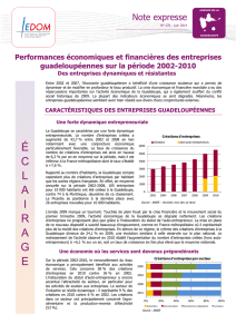 NE270 Eclairage performances entreprises guadeloupe