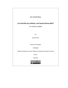 Les marchés du carbone, une fausse bonne idée?