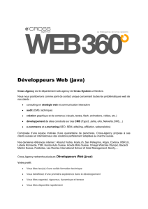 Développeurs Web (java)
