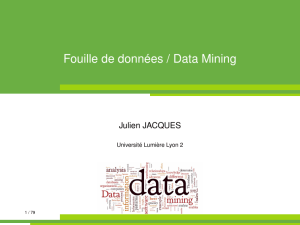 Fouille de données / Data Mining