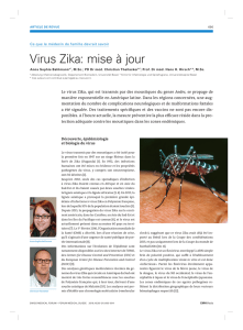 Virus Zika: mise à jour
