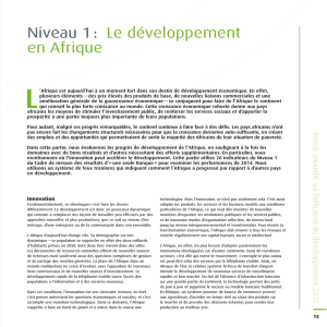 Niveau 1 : Le développement en Afrique