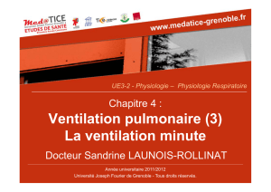 Ventilation pulmonaire (3) La ventilation minute