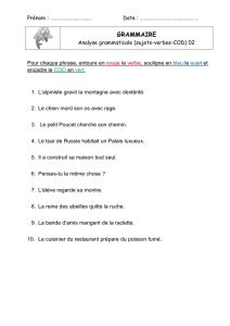 analyse grammaticale 0 sujets-verbes-COD
